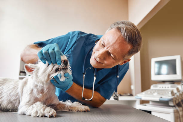 Best Emergency Tooth Extraction in Linden, AL