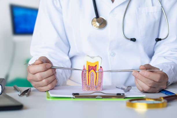 Best Emergency Wisdom Teeth Removal in Linden, AL
